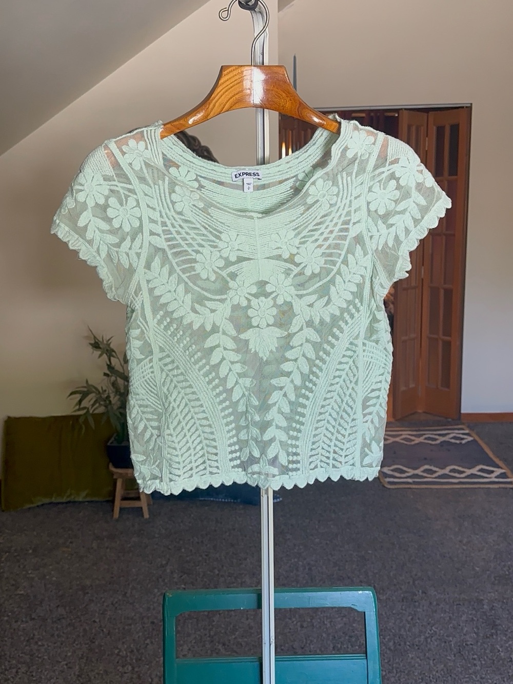 Express Mint Green Floral Lace Crop Top